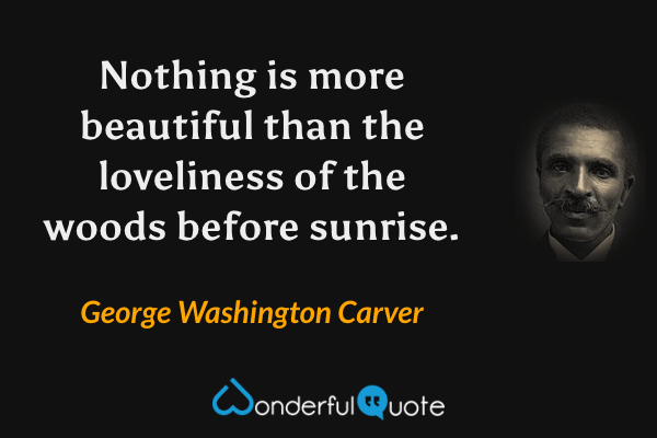Nothing is more beautiful than the loveliness of the woods before sunrise. - George Washington Carver quote.