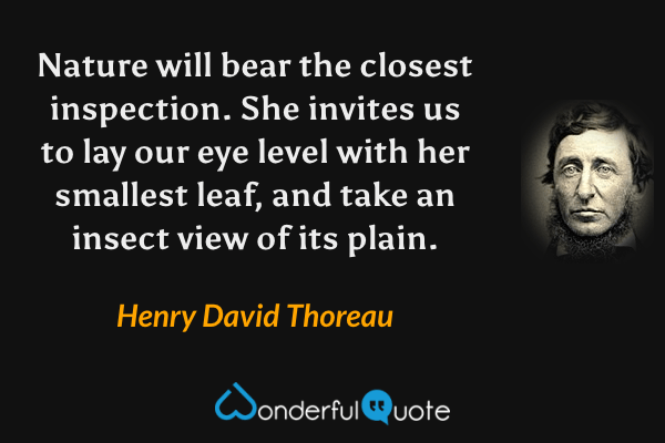 Nature will bear the closest inspection. She invites us to lay our eye level with her smallest leaf, and take an insect view of its plain. - Henry David Thoreau quote.