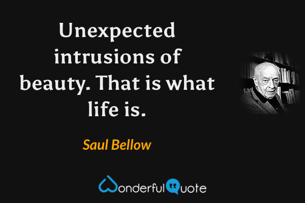 Unexpected intrusions of beauty. That is what life is. - Saul Bellow quote.