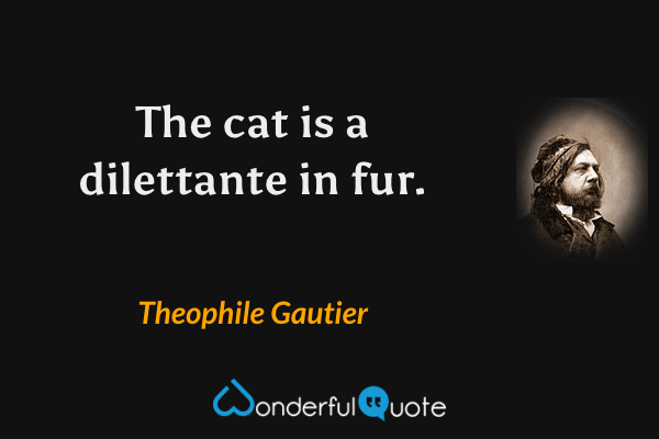The cat is a dilettante in fur. - Theophile Gautier quote.