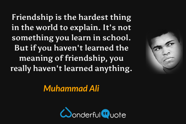 Friendship is the hardest thing in the world to explain. It's not something you learn in school. But if you haven't learned the meaning of friendship, you really haven't learned anything. - Muhammad Ali quote.