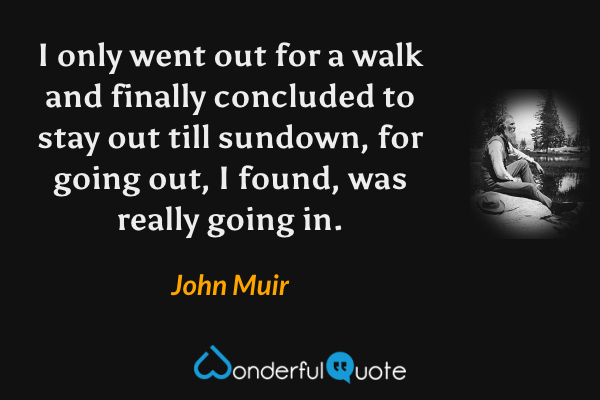 I only went out for a walk and finally concluded to stay out till sundown, for going out, I found, was really going in. - John Muir quote.