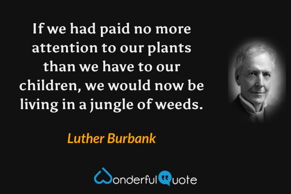 If we had paid no more attention to our plants than we have to our children, we would now be living in a jungle of weeds. - Luther Burbank quote.