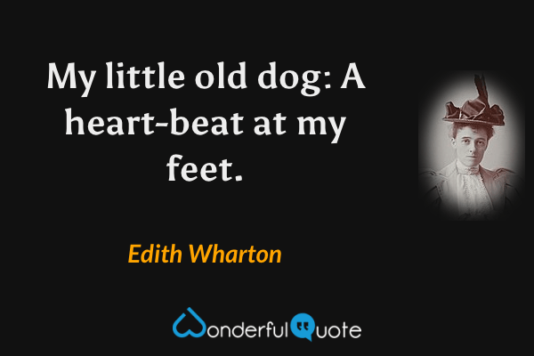 My little old dog:
A heart-beat at my feet. - Edith Wharton quote.