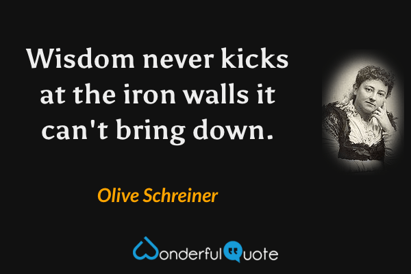 Wisdom never kicks at the iron walls it can't bring down. - Olive Schreiner quote.