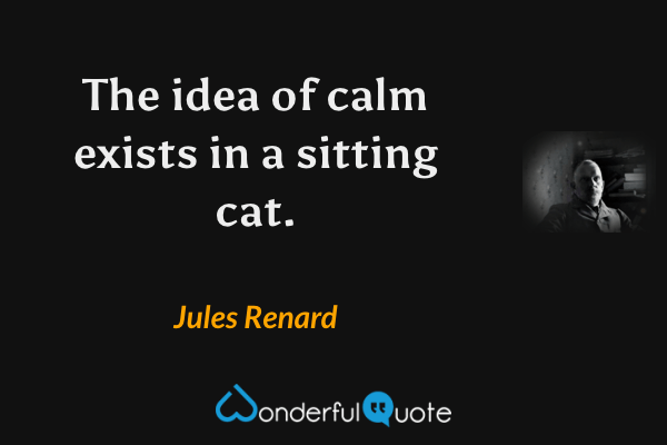 The idea of calm exists in a sitting cat. - Jules Renard quote.