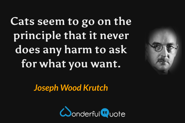 Cats seem to go on the principle that it never does any harm to ask for what you want. - Joseph Wood Krutch quote.