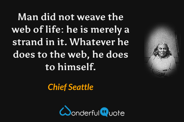 Man did not weave the web of life: he is merely a strand in it. Whatever he does to the web, he does to himself. - Chief Seattle quote.