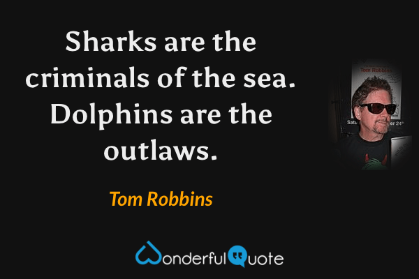 Sharks are the criminals of the sea. Dolphins are the outlaws. - Tom Robbins quote.