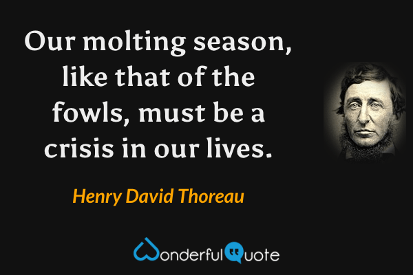 Our molting season, like that of the fowls, must be a crisis in our lives. - Henry David Thoreau quote.