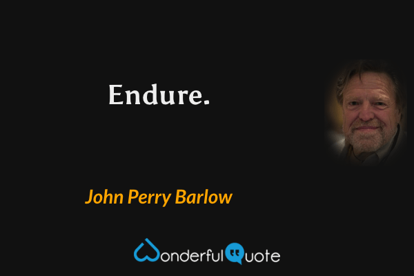 Endure. - John Perry Barlow quote.