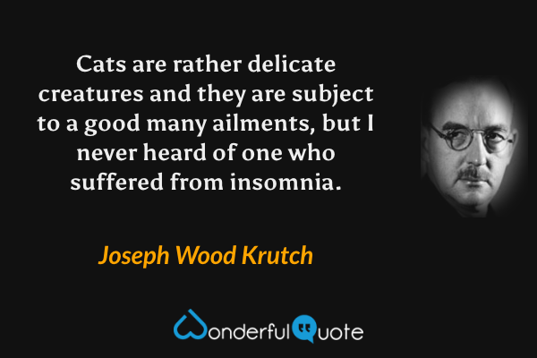 Cats are rather delicate creatures and they are subject to a good many ailments, but I never heard of one who suffered from insomnia. - Joseph Wood Krutch quote.