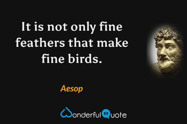 It is not only fine feathers that make fine birds. - Aesop quote.
