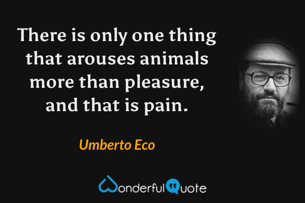 There is only one thing that arouses animals more than pleasure, and that is pain. - Umberto Eco quote.