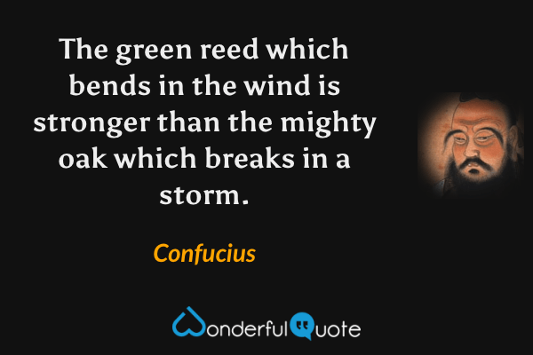The green reed which bends in the wind is stronger than the mighty oak which breaks in a storm. - Confucius quote.