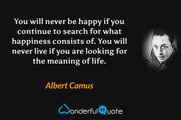 You will never be happy if you continue to search for what happiness consists of. You will never live if you are looking for the meaning of life. - Albert Camus quote.