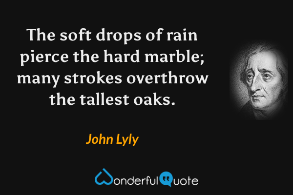 The soft drops of rain pierce the hard marble; many strokes overthrow the tallest oaks. - John Lyly quote.