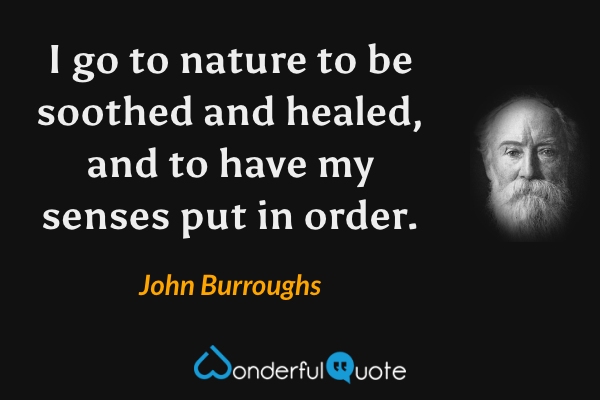 I go to nature to be soothed and healed, and to have my senses put in order. - John Burroughs quote.