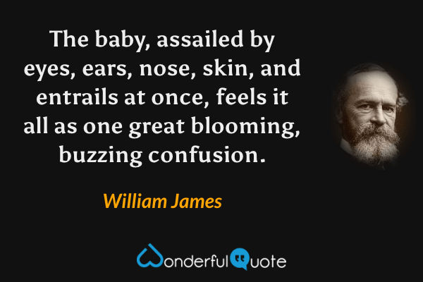 The baby, assailed by eyes, ears, nose, skin, and entrails at once, feels it all as one great blooming, buzzing confusion. - William James quote.