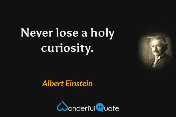 Never lose a holy curiosity. - Albert Einstein quote.