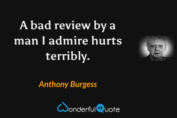 A bad review by a man I admire hurts terribly. - Anthony Burgess quote.