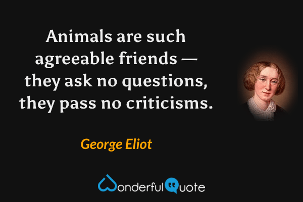 Animals are such agreeable friends — they ask no questions, they pass no criticisms. - George Eliot quote.
