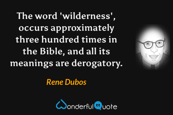 The word 'wilderness', occurs approximately three hundred times in the Bible, and all its meanings are derogatory. - Rene Dubos quote.