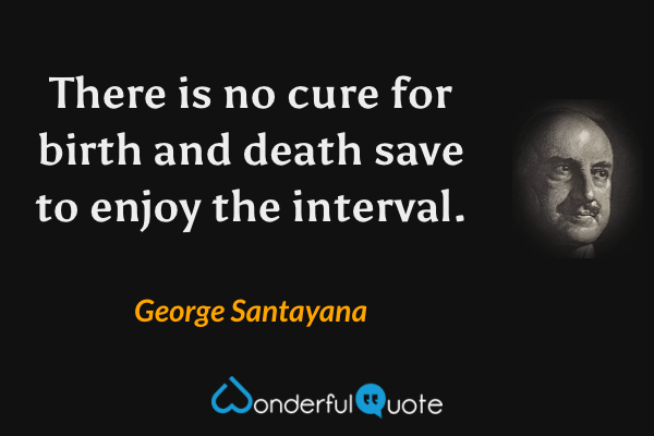 There is no cure for birth and death save to enjoy the interval. - George Santayana quote.