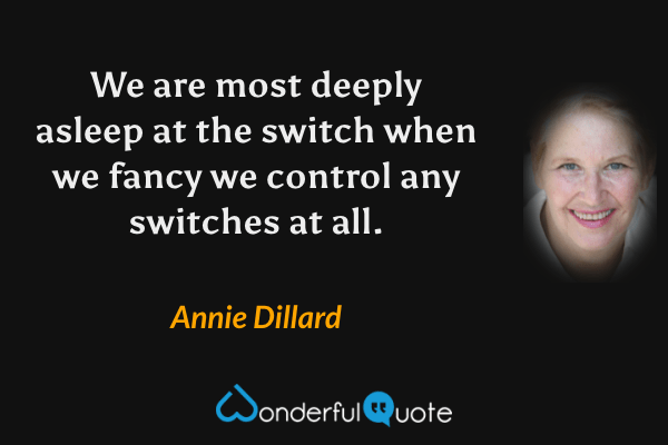 We are most deeply asleep at the switch when we fancy we control any switches at all. - Annie Dillard quote.