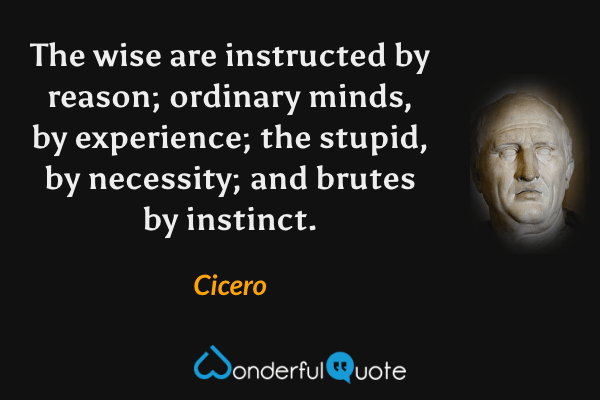 The wise are instructed by reason; ordinary minds, by experience; the stupid, by necessity; and brutes by instinct. - Cicero quote.