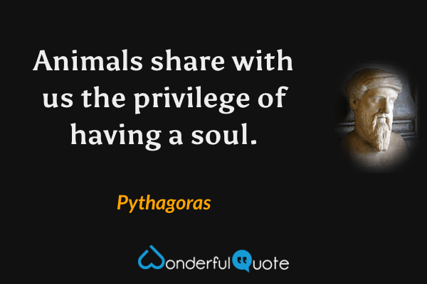 Animals share with us the privilege of having a soul. - Pythagoras quote.