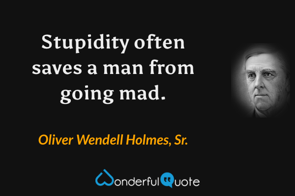 Stupidity often saves a man from going mad. - Oliver Wendell Holmes, Sr. quote.