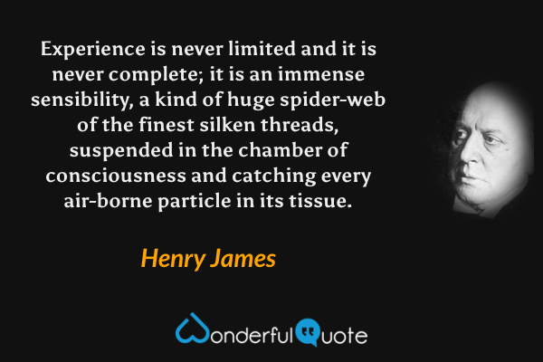 Experience is never limited and it is never complete; it is an immense sensibility, a kind of huge spider-web of the finest silken threads, suspended in the chamber of consciousness and catching every air-borne particle in its tissue. - Henry James quote.