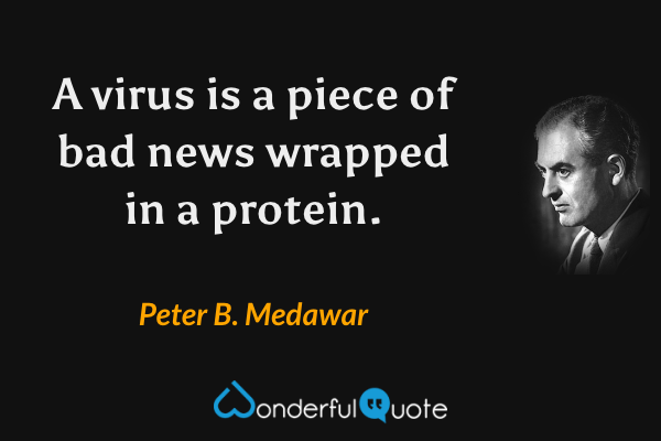 A virus is a piece of bad news wrapped in a protein. - Peter B. Medawar quote.