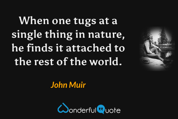 When one tugs at a single thing in nature, he finds it attached to the rest of the world. - John Muir quote.