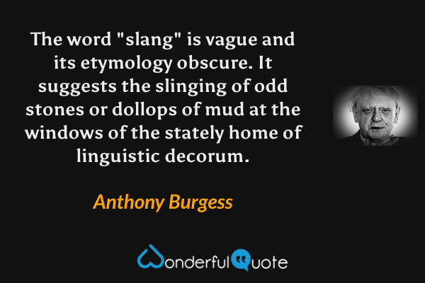 The word "slang" is vague and its etymology obscure.  It suggests the slinging of odd stones or dollops of mud at the windows of the stately home of linguistic decorum. - Anthony Burgess quote.