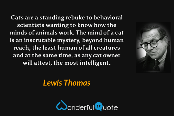 Cats are a standing rebuke to behavioral scientists wanting to know how the minds of animals work.  The mind of a cat is an inscrutable mystery, beyond human reach, the least human of all creatures and at the same time, as any cat owner will attest, the most intelligent. - Lewis Thomas quote.