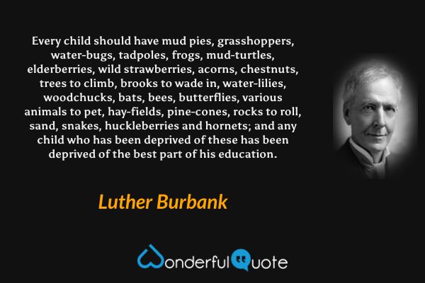 Every child should have mud pies, grasshoppers, water-bugs, tadpoles, frogs, mud-turtles, elderberries, wild strawberries, acorns, chestnuts, trees to climb, brooks to wade in, water-lilies, woodchucks, bats, bees, butterflies, various animals to pet, hay-fields, pine-cones, rocks to roll, sand, snakes, huckleberries and hornets; and any child who has been deprived of these has been deprived of the best part of his education. - Luther Burbank quote.