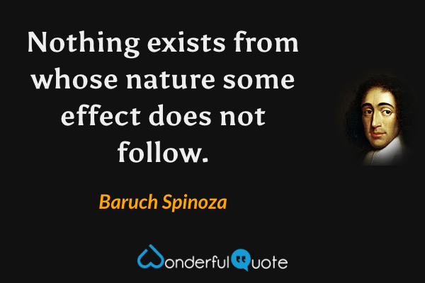 Nothing exists from whose nature some effect does not follow. - Baruch Spinoza quote.