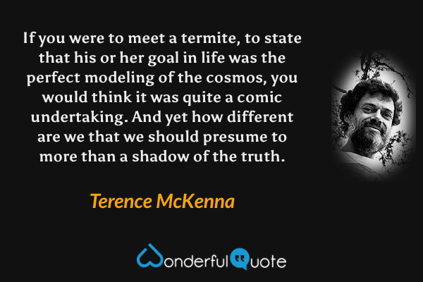 If you were to meet a termite, to state that his or her goal in life was the perfect modeling of the cosmos, you would think it was quite a comic undertaking. And yet how different are we that we should presume to more than a shadow of the truth. - Terence McKenna quote.