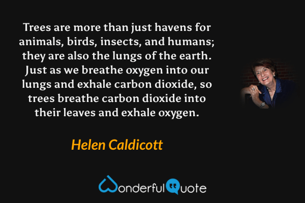 Trees are more than just havens for animals, birds, insects, and humans; they are also the lungs of the earth. Just as we breathe oxygen into our lungs and exhale carbon dioxide, so trees breathe carbon dioxide into their leaves and exhale oxygen. - Helen Caldicott quote.