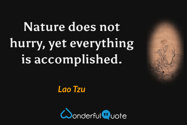 Nature does not hurry, yet everything is accomplished. - Lao Tzu quote.