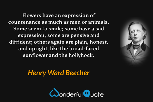 Flowers have an expression of countenance as much as men or animals.  Some seem to smile; some have a sad expression; some are pensive and diffident; others again are plain, honest, and upright, like the broad-faced sunflower and the hollyhock. - Henry Ward Beecher quote.