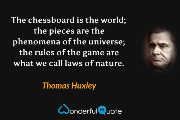 The chessboard is the world; the pieces are the phenomena of the universe; the rules of the game are what we call laws of nature. - Thomas Huxley quote.