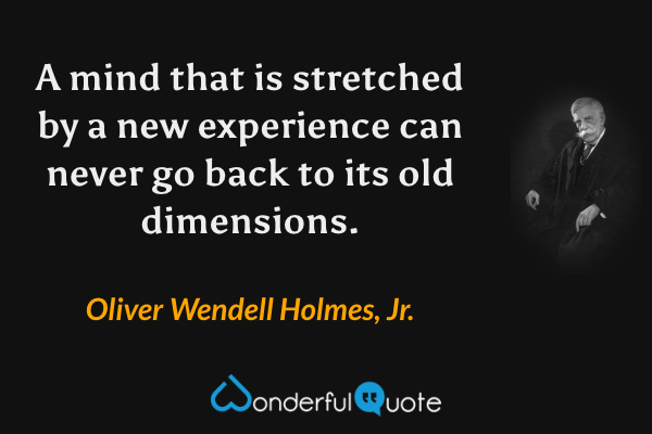 A mind that is stretched by a new experience can never go back to its old dimensions. - Oliver Wendell Holmes, Jr. quote.