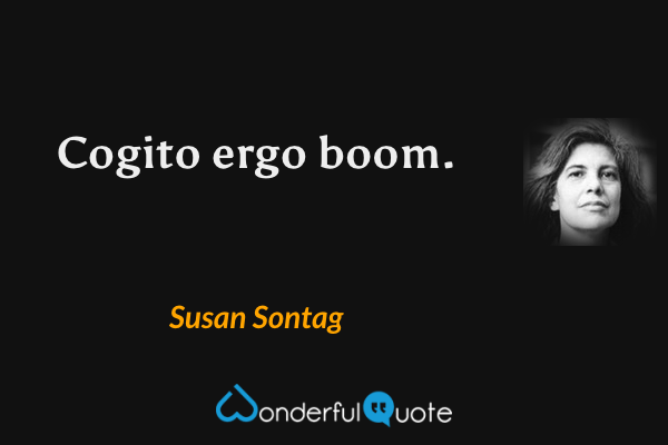 Cogito ergo boom. - Susan Sontag quote.