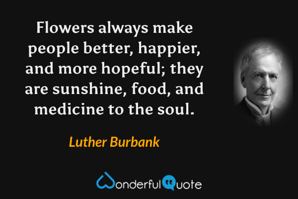 Flowers always make people better, happier, and more hopeful; they are sunshine, food, and medicine to the soul. - Luther Burbank quote.