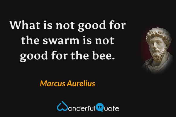 What is not good for the swarm is not good for the bee. - Marcus Aurelius quote.
