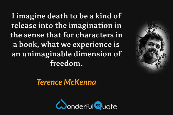 I imagine death to be a kind of release into the imagination in the sense that for characters in a book, what we experience is an unimaginable dimension of freedom. - Terence McKenna quote.