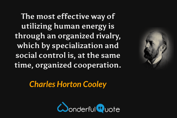 The most effective way of utilizing human energy is through an organized rivalry, which by specialization and social control is, at the same time, organized cooperation. - Charles Horton Cooley quote.